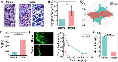 Extracellular Matrix Physical Properties Govern The Diffusion Of