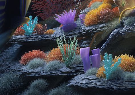 Sea Bottom Behance