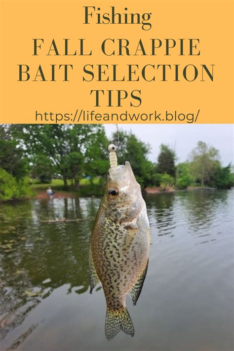 Fall Crappie Bait Selection Tips