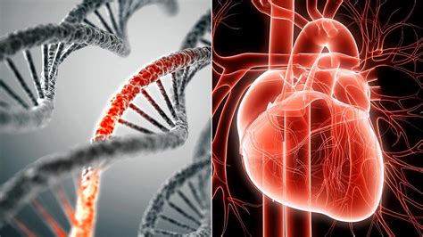 Can You Overcome Your Genetic Risk of Heart Disease? | Everyday Health