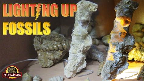 Finding Fossils Lighting Up Fossils Youtube