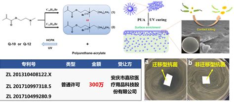 功能高分子微球 江南大学先进功能高分子材料研究中心