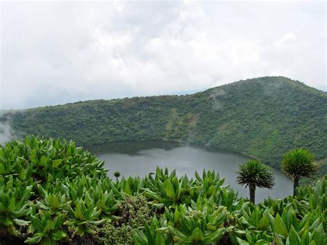 The Virunga Mountains Discover Africa S Volcanic Range