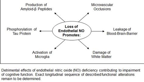 Emerging Roles Of Endothelial Nitric Oxide In Preservation Of Cognitive