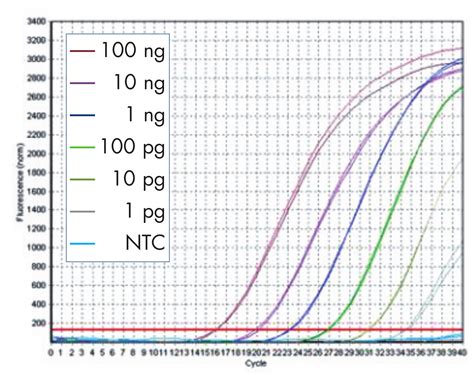 QuantiFast Probe PCR Kits