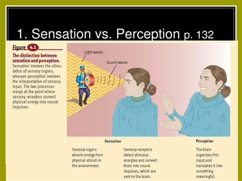 Sensation And Perception Psychology Notes