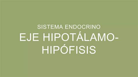 Eje Hipotalamo Hipofisis Pptx Descarga Gratuita