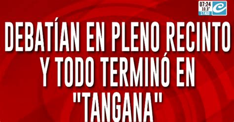 Bochornoso Debate En El Senado Turco Termina En Una Verdadera Batalla