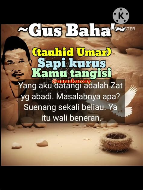 Tauhid Umar Sapi Kurus Kau Tangisi Gus Baha Youtube