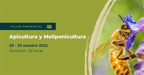 Apicultura Y Meliponicultura Universidad Del Medio Ambiente