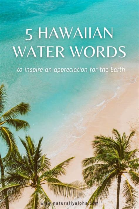 How To Say 5 Aesthetic Hawaiian Water Words Naturally Aloha Hawaiian