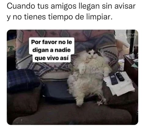 Hay Dos Tipos De Personas En Esta Vida Cu L Eres T Memes