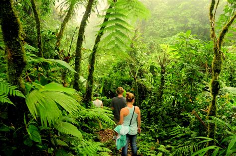 Monteverde Cloud Forest Reserve Costa Rica - Info