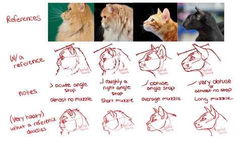 Cat Ear Drawing Reference I Use Refs But They Always End