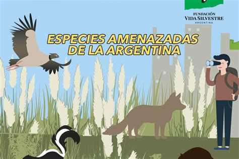 Capacitación Virtual Gratuita Sobre Especies Amenazadas Municipalidad Gualeguaychú Entre Ríos