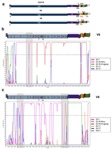 Viruses Free Full Text New Insights Into Avian Infectious