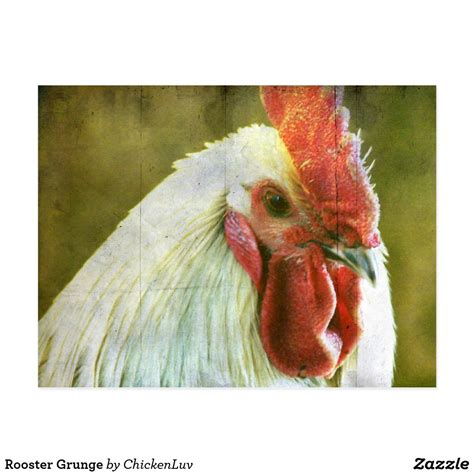 Rooster Grunge Postcard Black Rooster Grunge Tool Design Zazzle