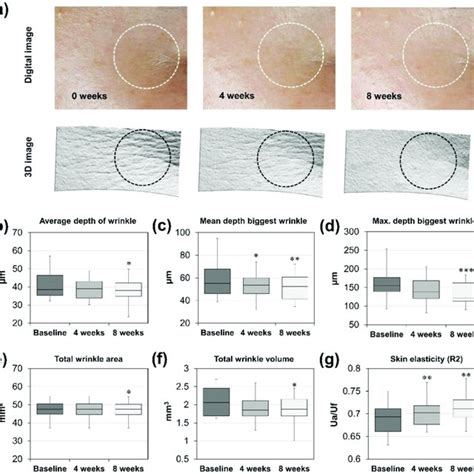 The Anti Aging Effect Of CFE On Human Skin A Skin Wrinkles Images