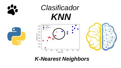 Clasificador Knn Machine Learning Aprendizaje Autom Tico Python