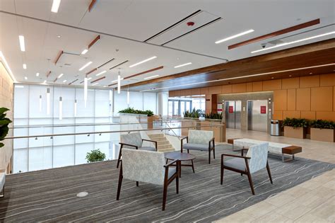 The Hospital Of Their Dreams