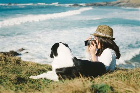 Pet Travel 101 How To Make Travelling With Your Pets Easier Pia