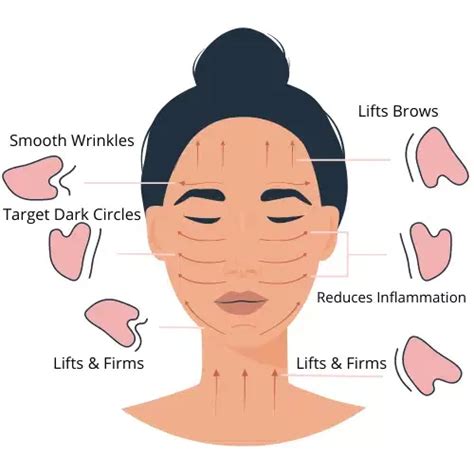 Gua Sha Facial Chart Movements Motions Artofit