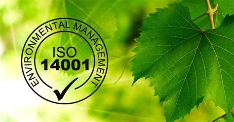 Alma Laboris Business School Certificazione Ambientale ISO 14001