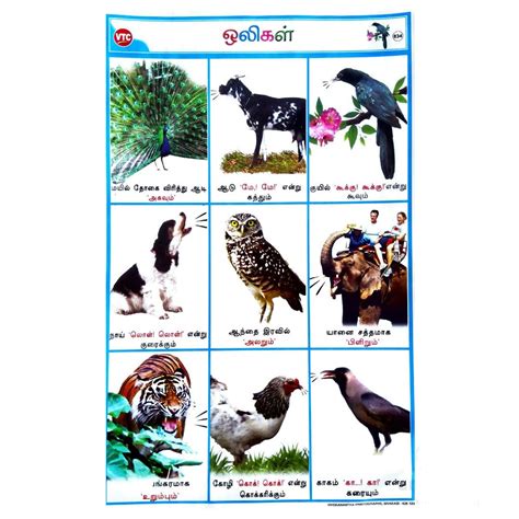 ஒலிகள் School Project Chart Stickers Clickere