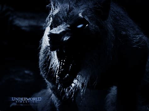 Underworld Werewolf Wallpapers - Wallpaper Cave