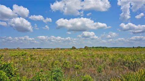 Hiking Wildlife Management Areas – Florida Hikes