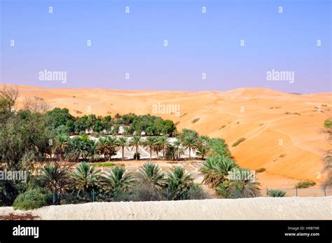 Desert Oasis Stock Photo Alamy