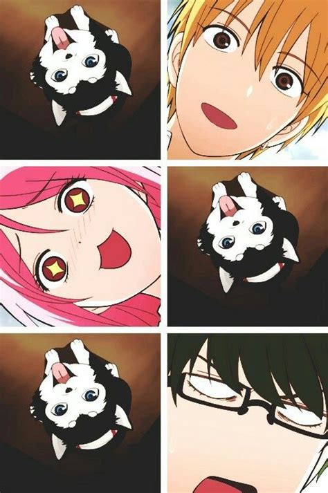 Nigou Kuroko No Basket No Basket Kuroko