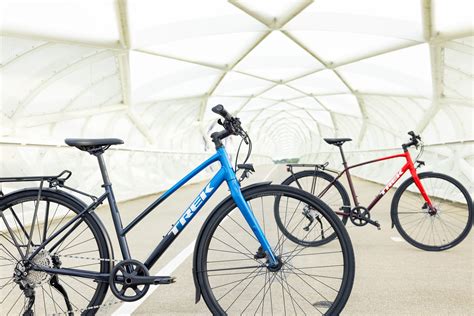 What's The Buzz About Sally Brompton Globe? Find Out Now! Image 18