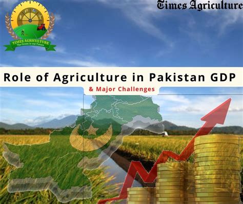 Role Of Agriculture In Pakistan Gdp And Major Challenges Times