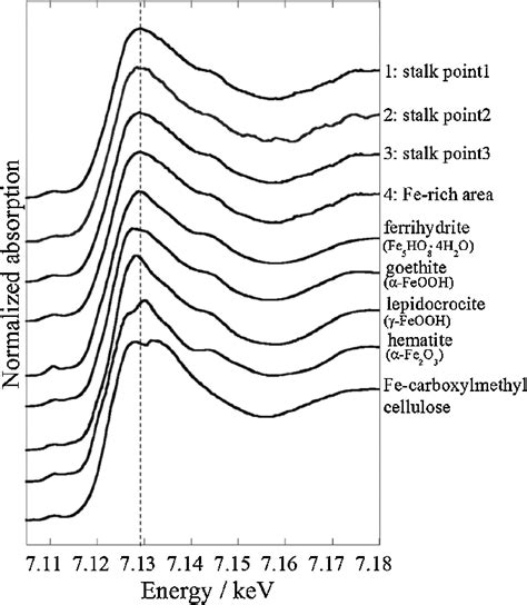 Normalized Fe K Edge XANES Spectra Of Samples And Reference Minerals