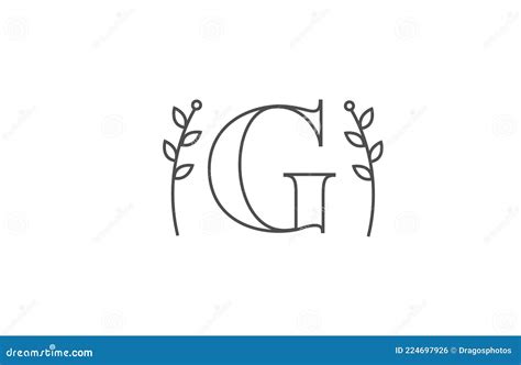 Diseño De Línea Del Logotipo Del Icono De Letra G Tipografía