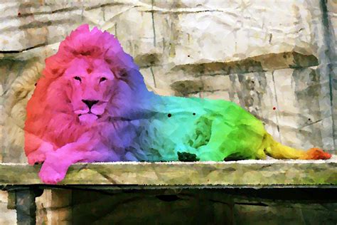 🔥 [40+] Rainbow Lion Wallpapers | WallpaperSafari