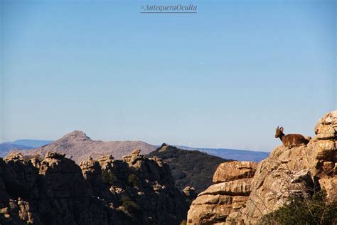 Paloma Luengo on Twitter RT AntequeraOculta Rincones mágicos agrios