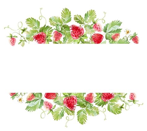 Premium Vector Watercolor Strawberry Frame Vector