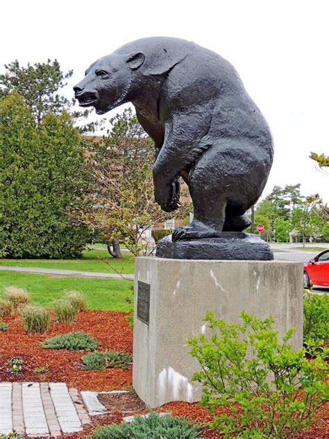 UMO Black Bear - Orono, ME - School Mascots on Waymarking.com