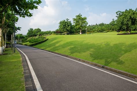 The Beautiful Road Is Surrounded By Greenery Photo Free Download