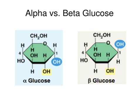 Carbohydrates. - ppt download