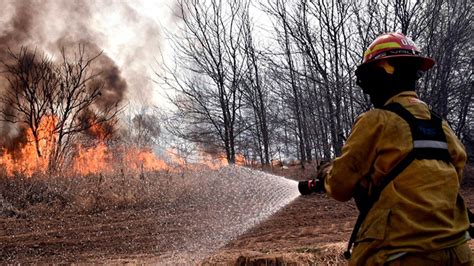 Incendios Forestales 2020 1 Millón De Hectáreas Arrasadas La Trocha