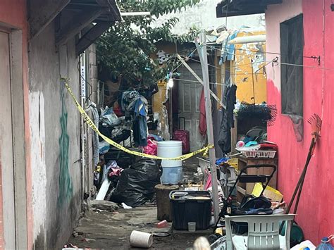 Multi Homicidio En Colonia Playa Linda De Veracruz Puerto Dimax News