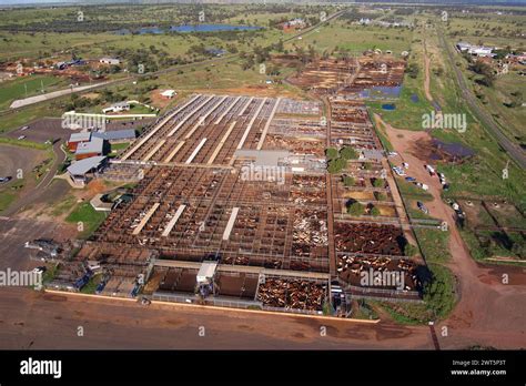 Aerial Of The Roma Saleyards Australias Largest Cattle Selling Centre