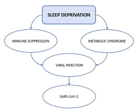 Ijerph Free Full Text Sleep Deprivation Immune Suppression And