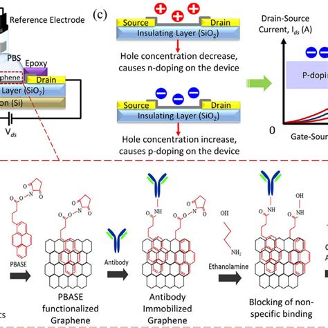 A Schematic Illustration Of The Fabricated Graphene Nanoplatelets