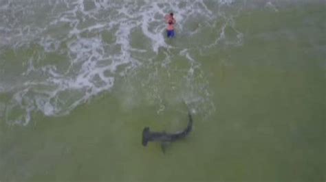 Texas Fisherman Reels In 14 Foot Hammerhead Shark Calls It Catch Of