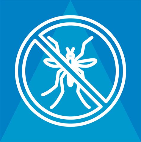 dengue fever music group 2