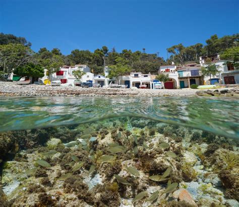 Casas De Pescadores Y Peces De La Costa Del Mar Mediterr Neo Foto De